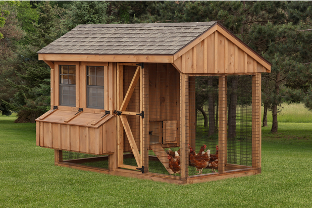 Build your own chicken coop!