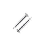 Wensilon 304 Stainless Steel assortment Nails Kit,nail for hanging pictures