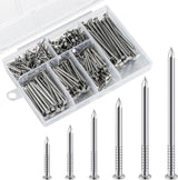 Wensilon 304 Stainless Steel assortment Nails Kit,nail for hanging pictures