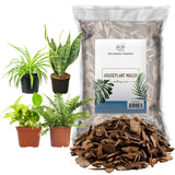 100% Natural Pine Bark Mulch Nuggets (8 Quarts), Small Mulch Chips for Indoor/Outdoor Container Gardening, Ideal for Soil Supplement, Houseplant Mulch